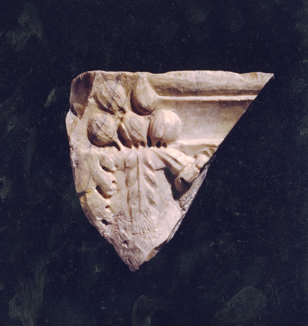 Domus Tiberiana 20.tif