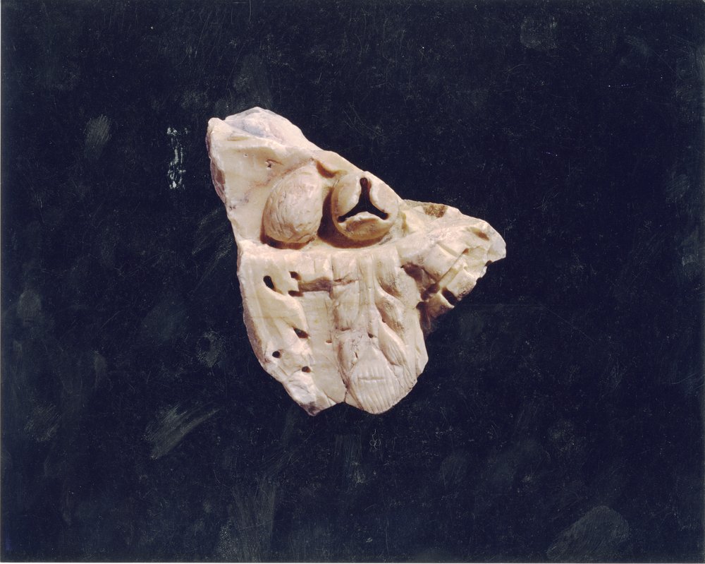 Domus Tiberiana 4.tif