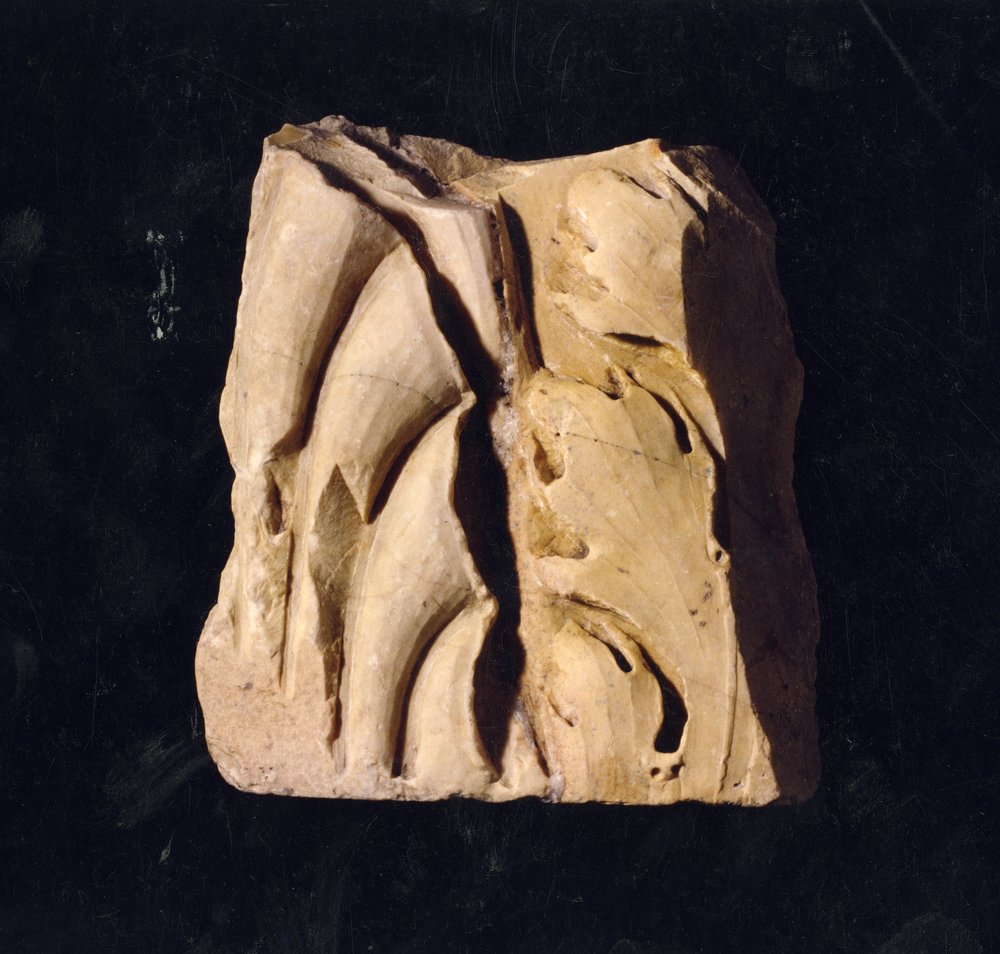 Domus Tiberiana 37.tif