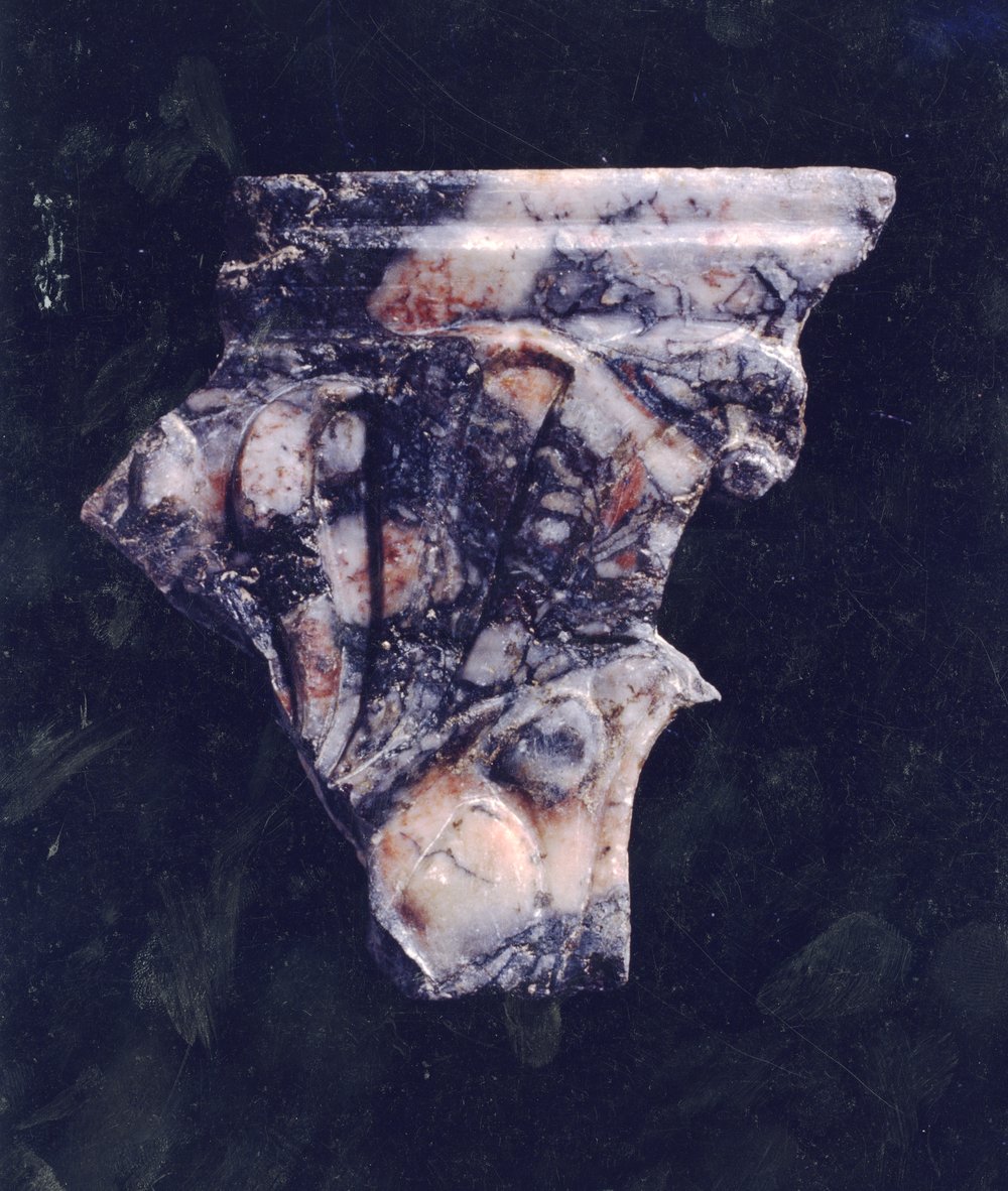 Domus Tiberiana 32.tif
