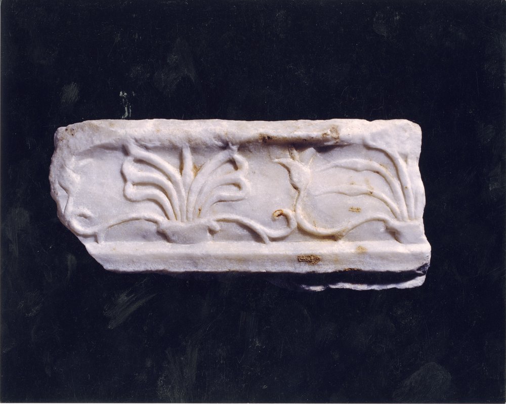 Domus Tiberiana 9.tif