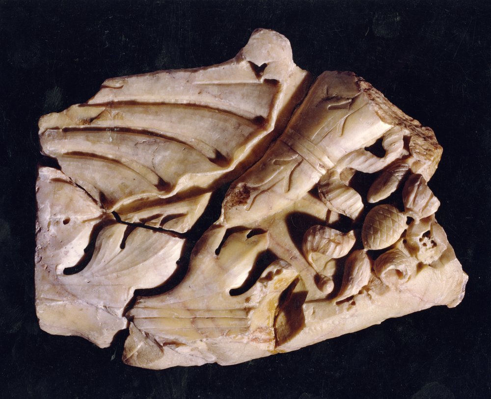 Domus Tiberiana 36.tif