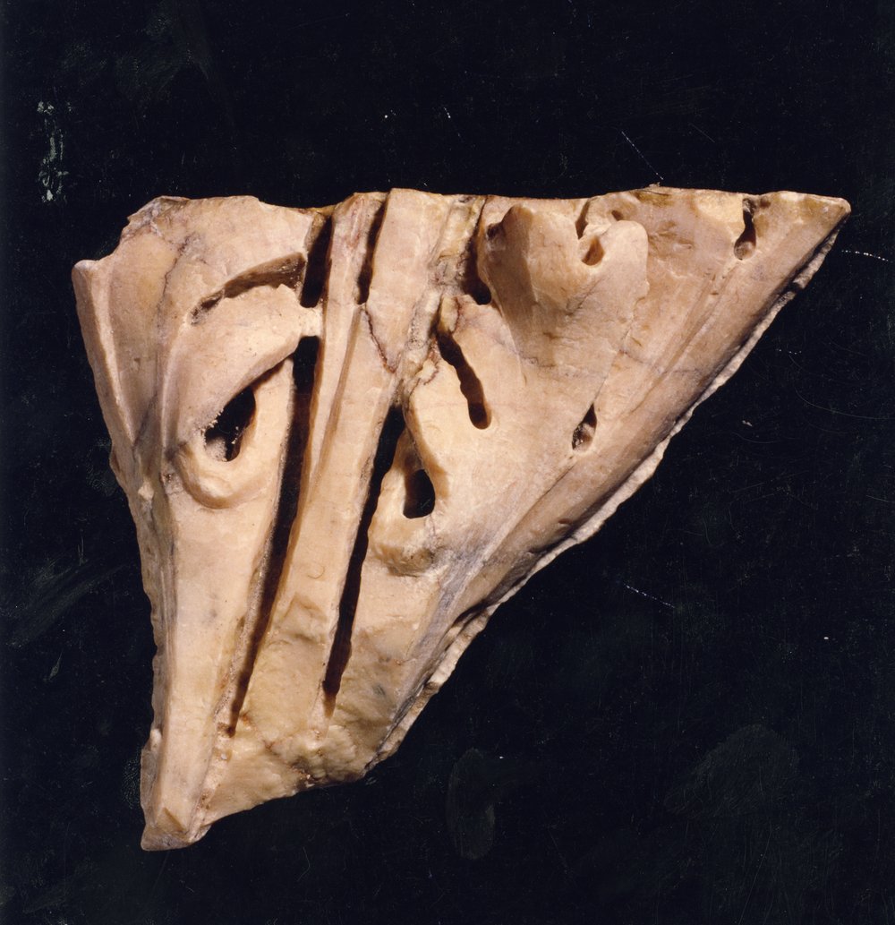 Domus Tiberiana 23.tif