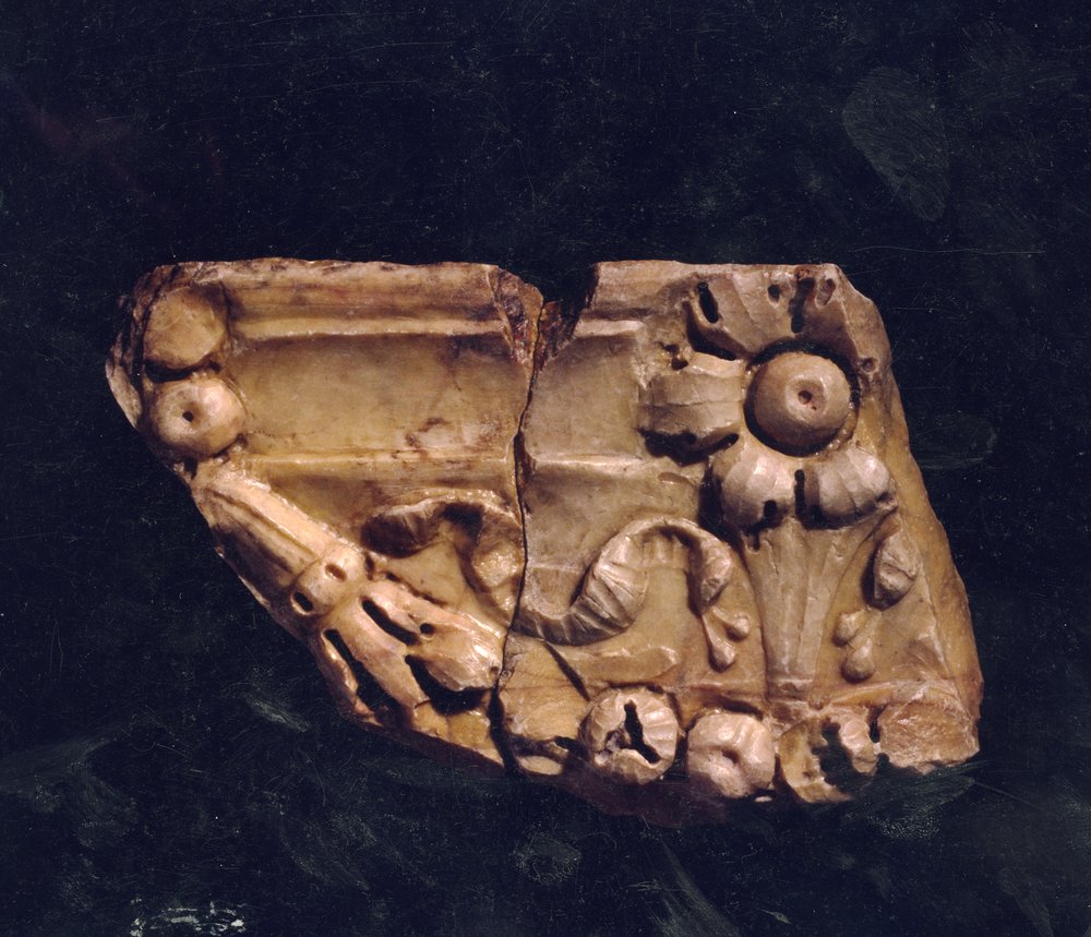 Domus Tiberiana 18.tif