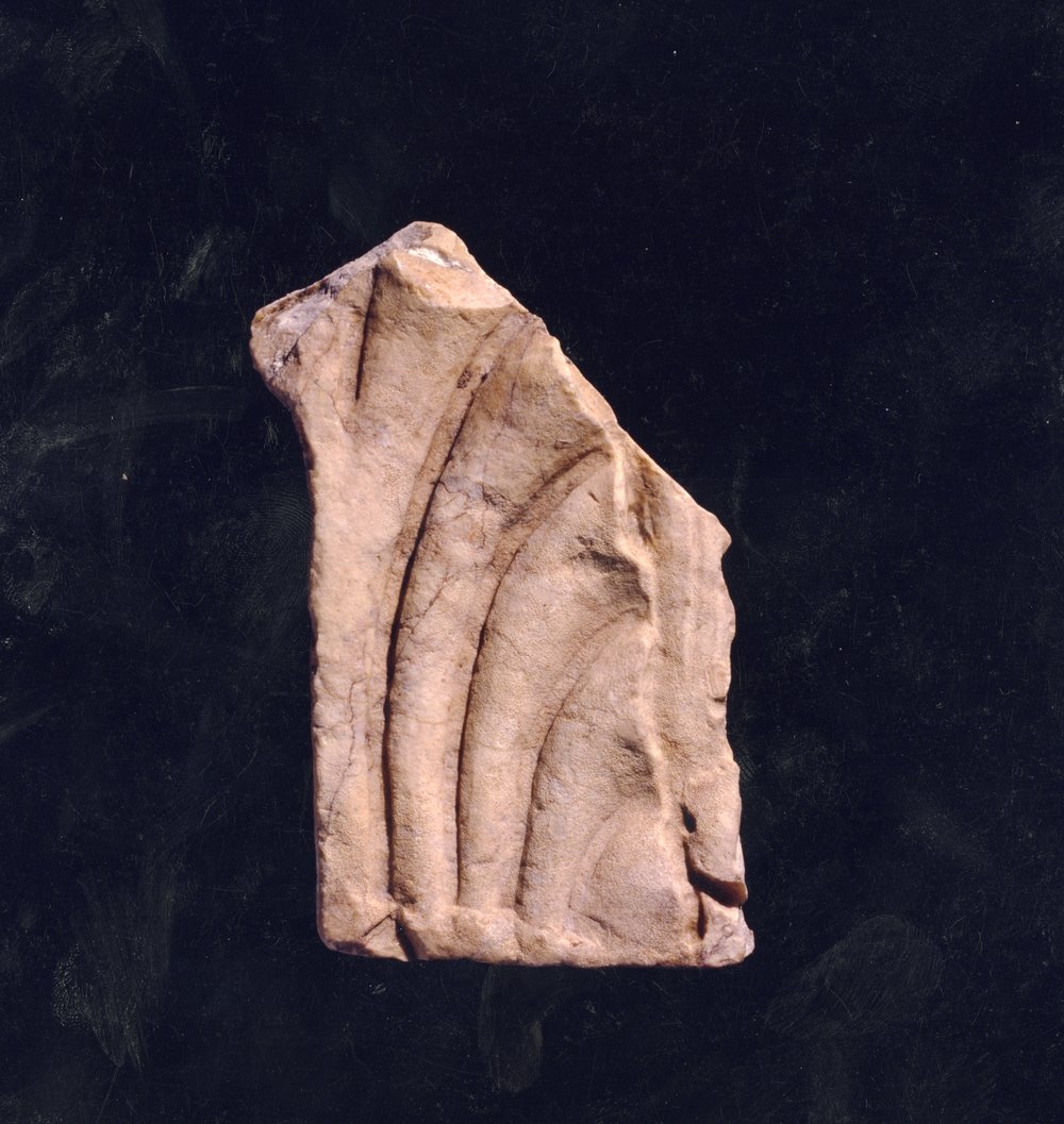 Domus Tiberiana 21.tif