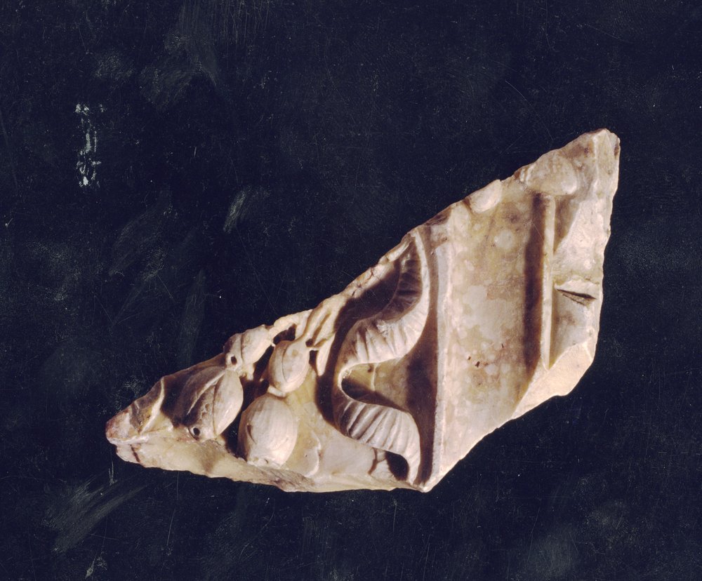 Domus Tiberiana 34.tif