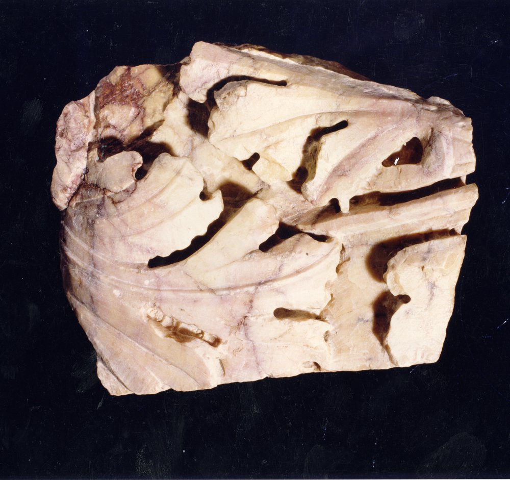 Domus Tiberiana 25.tif