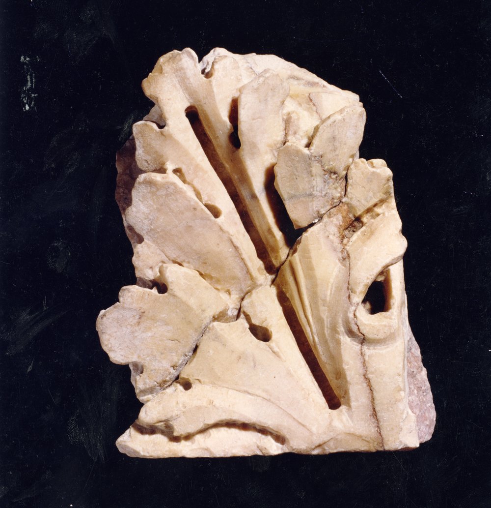 Domus Tiberiana 24.tif