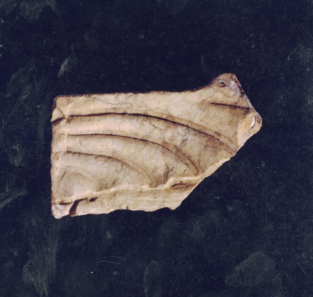 Domus Tiberiana 17.tif