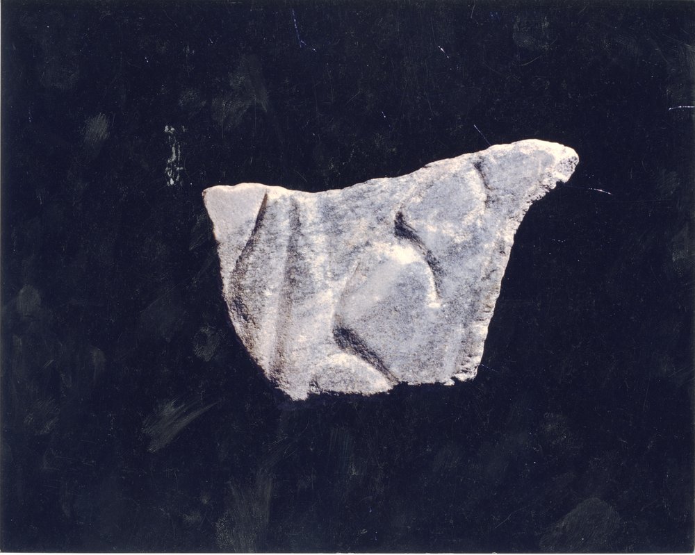 Domus Tiberiana 5.tif