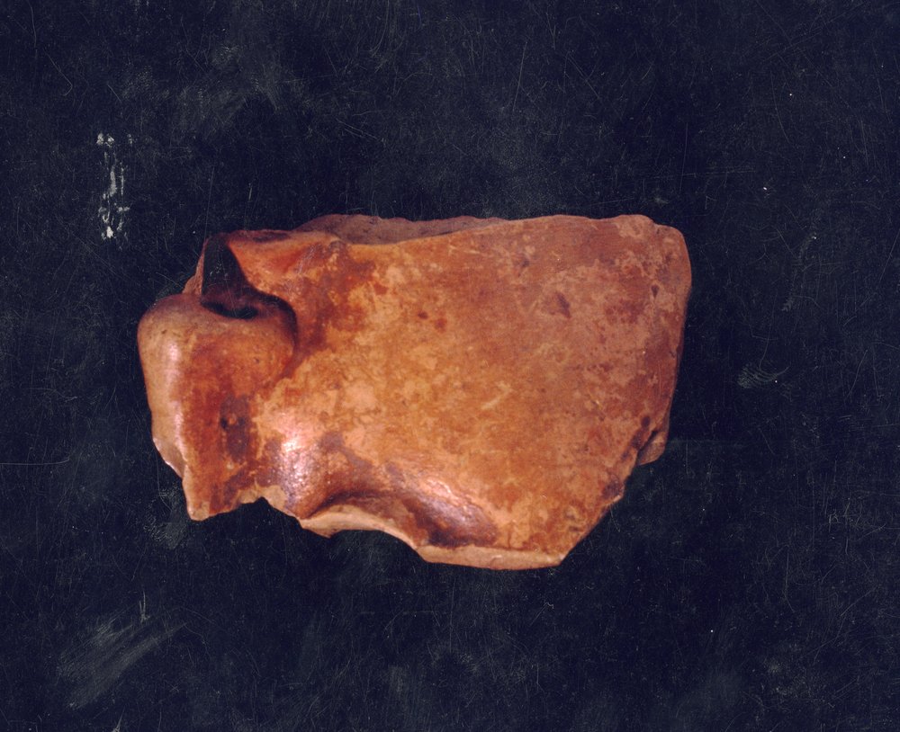 Domus Tiberiana 33.tif
