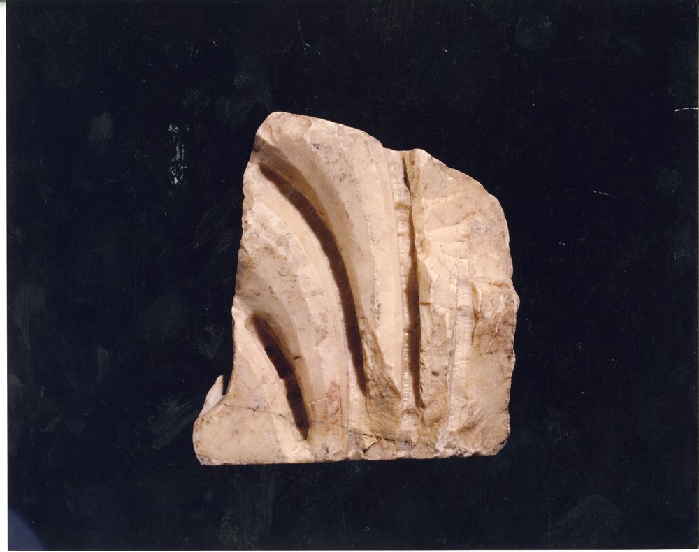 Domus Tiberiana 12.tif