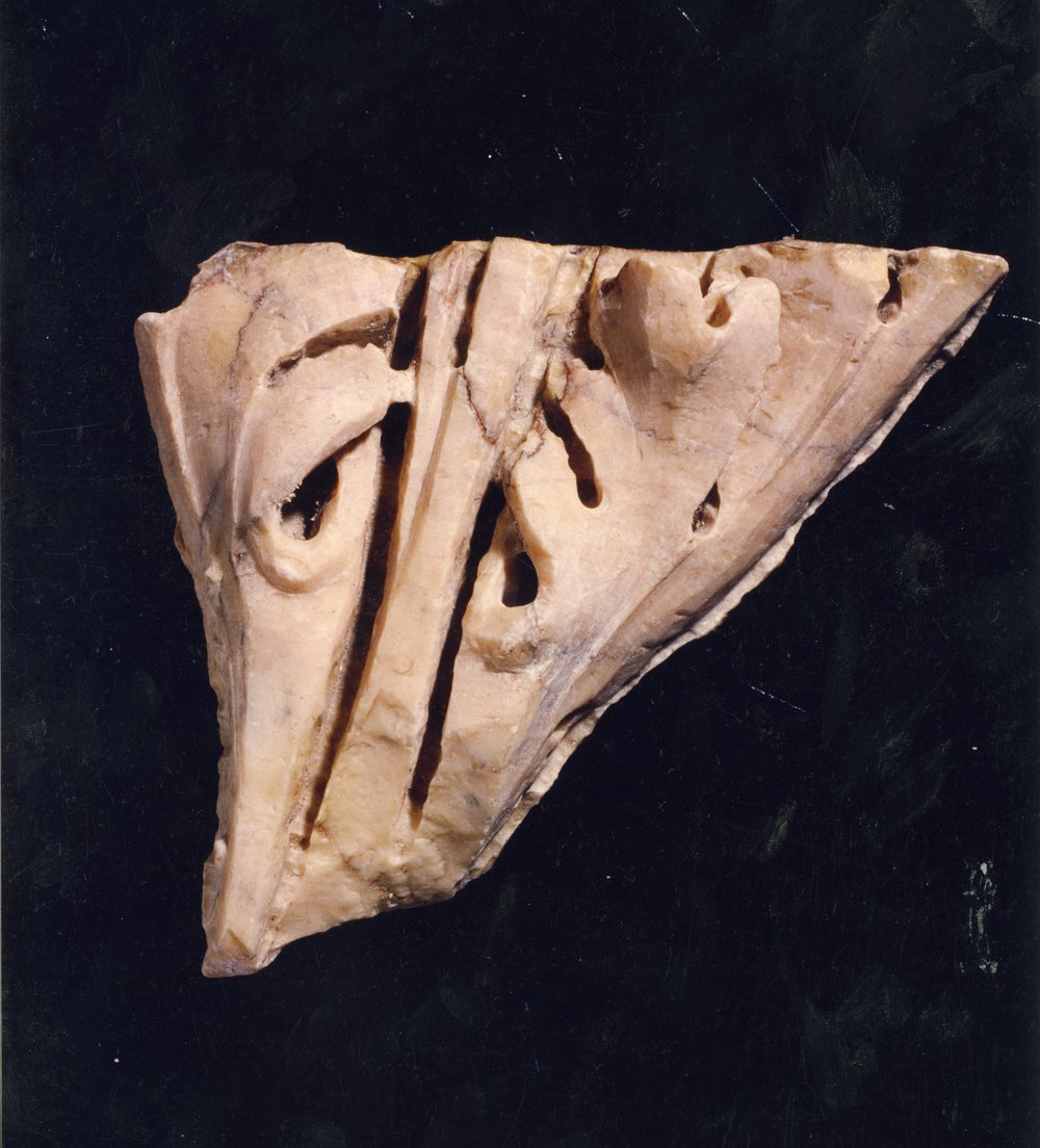 Domus Tiberiana 14.tif