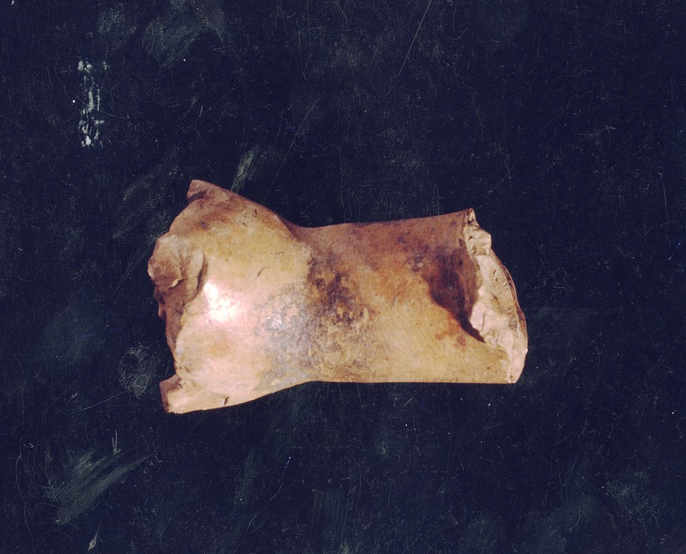 Domus Tiberiana 30.tif