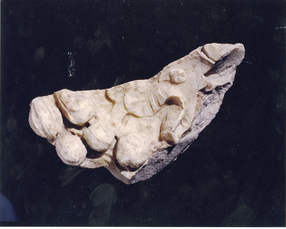 Domus Tiberiana 7.tif