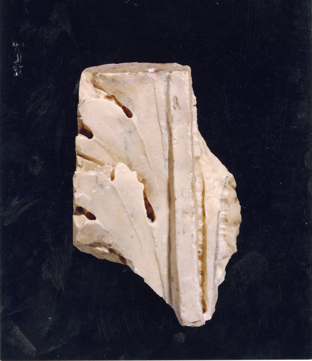 Domus Tiberiana 15.tif