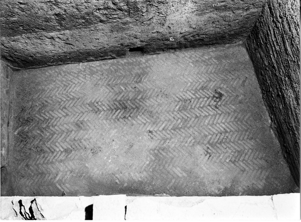 Terme Severiane 10.tif