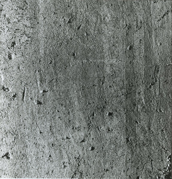 002499 - monumento - Casa di Augusto, danneggiamenti, graffiti sulle pitture parietali. Neg. serie 6x6 nÂ° 4429