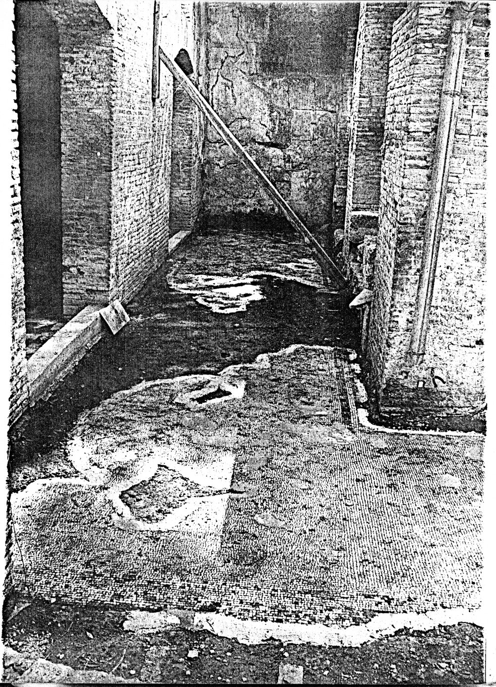Foto Mosaici caracalla 17.tif