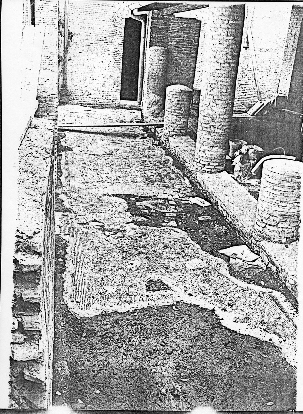 Foto Mosaici caracalla 22.tif