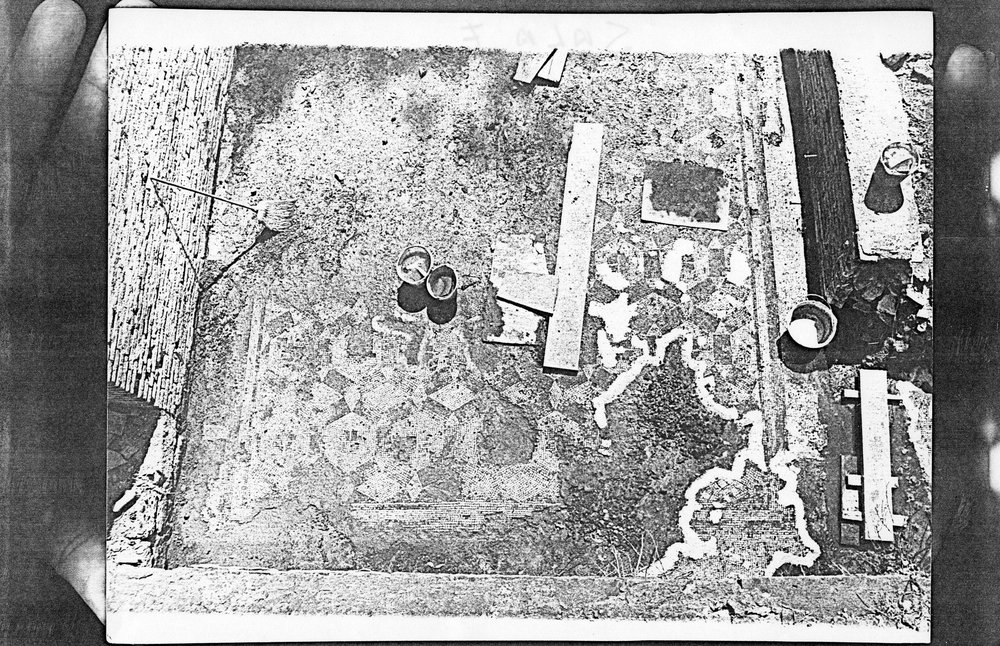 Foto Mosaici caracalla 19.tif