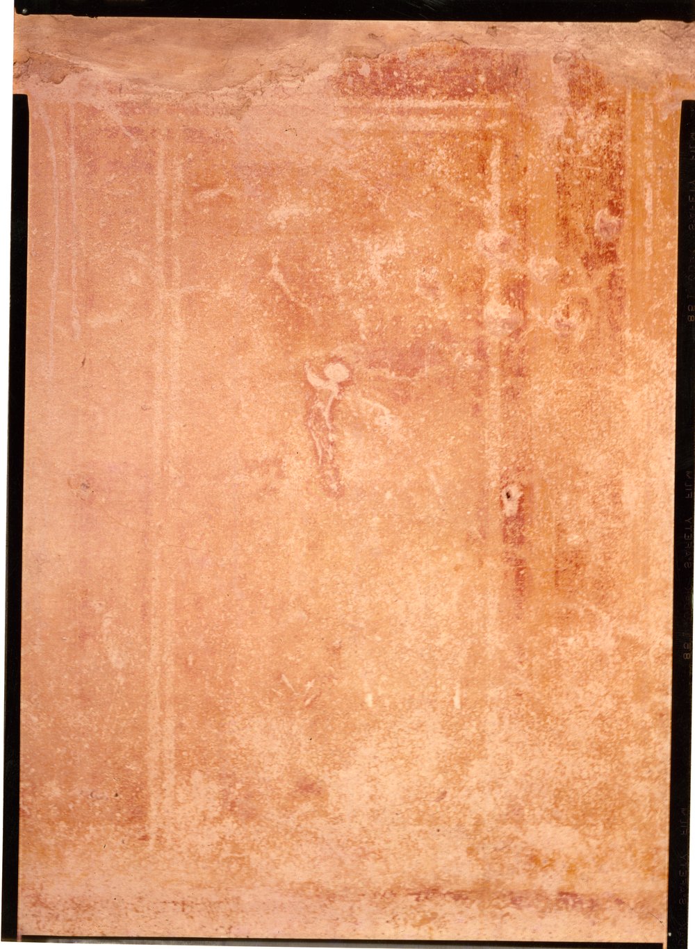Domus Tiberiana pitture 6.tif