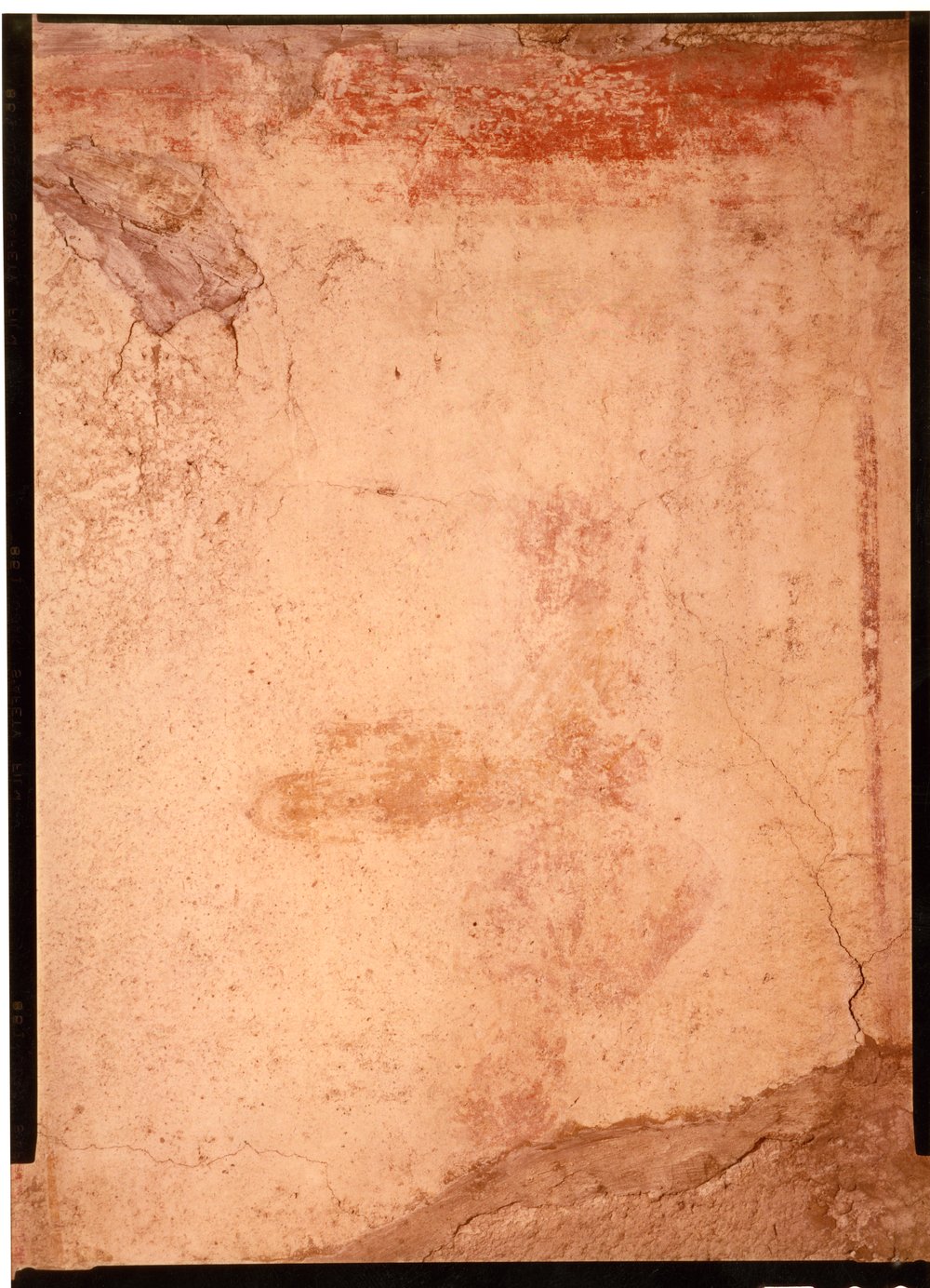 Domus Tiberiana pitture 8.tif