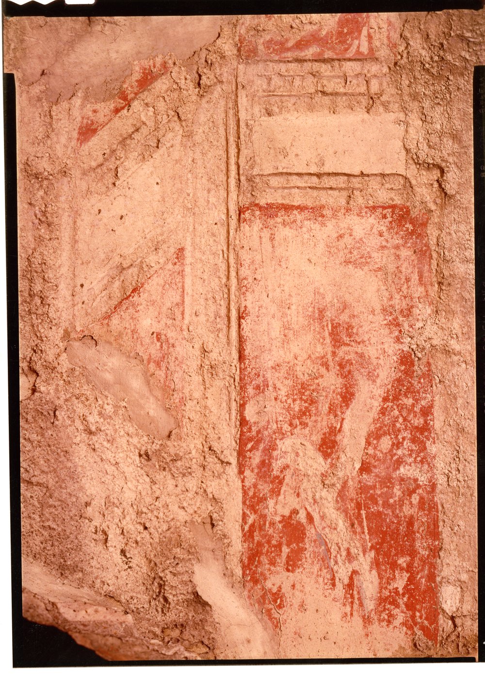 Domus Tiberiana pitture 7.tif