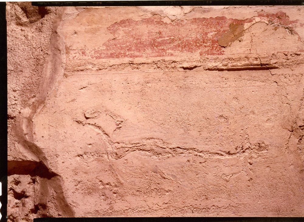 Domus Tiberiana pitture 26.tif