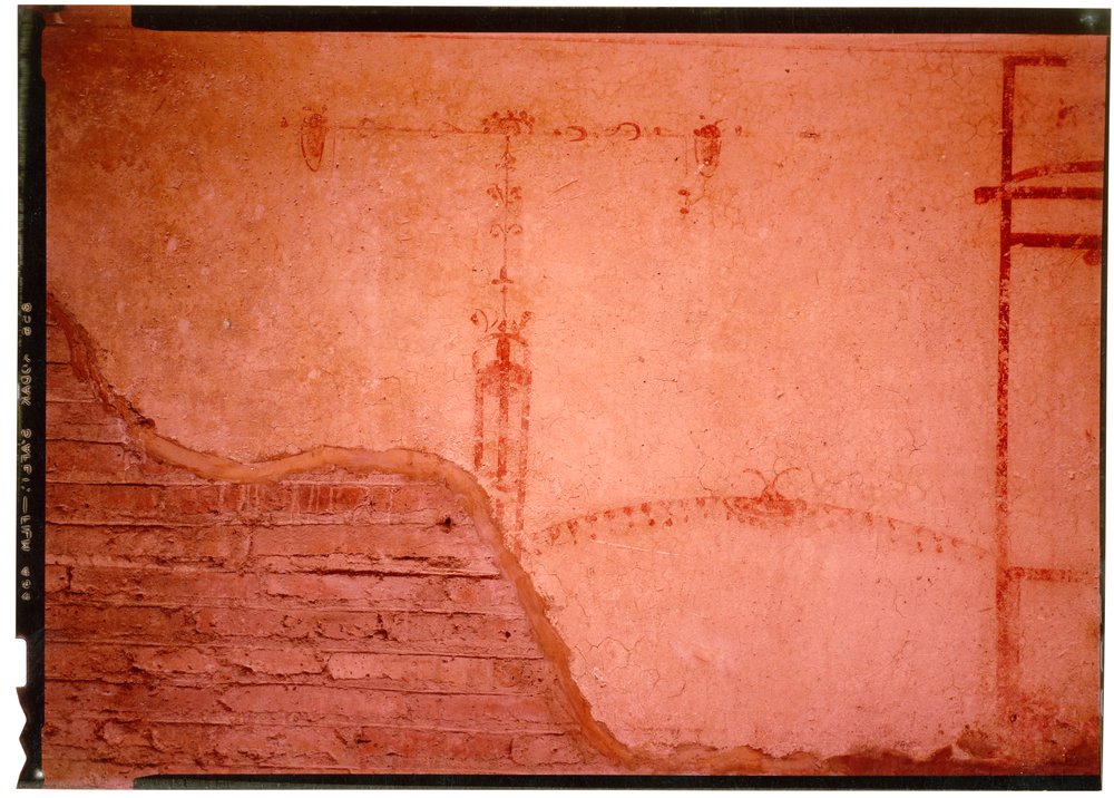 Domus Tiberiana pitture 10.tif