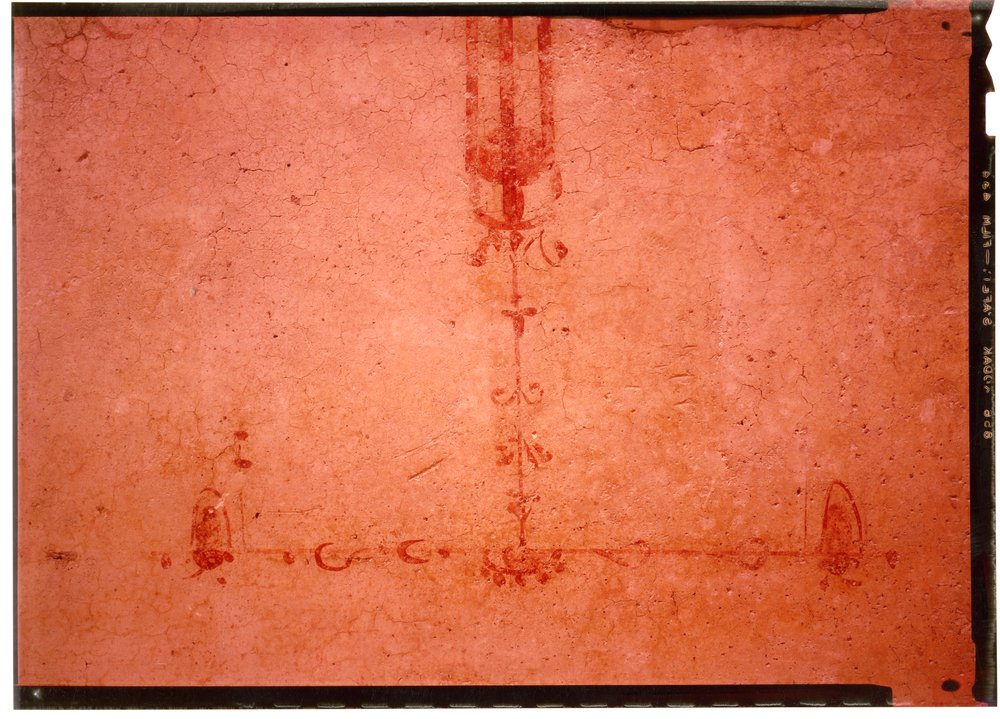 Domus Tiberiana pitture 5.tif