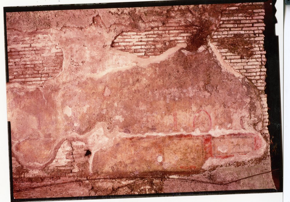 Domus Tiberiana pitture 37.tif