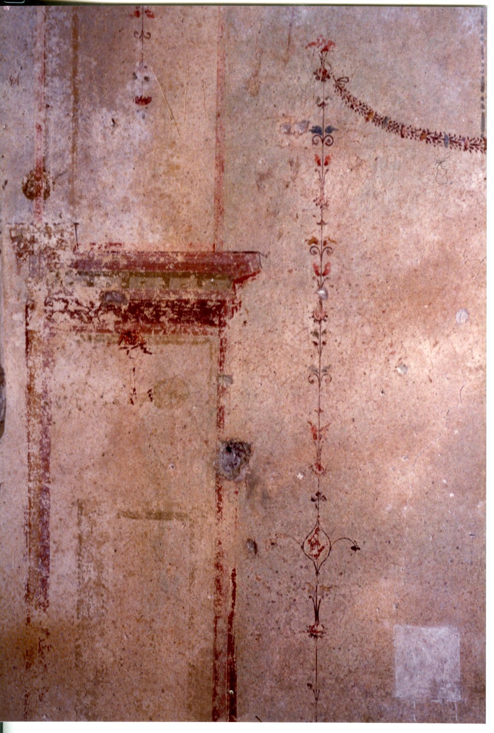 Domus Tiberiana pitture 42.tif