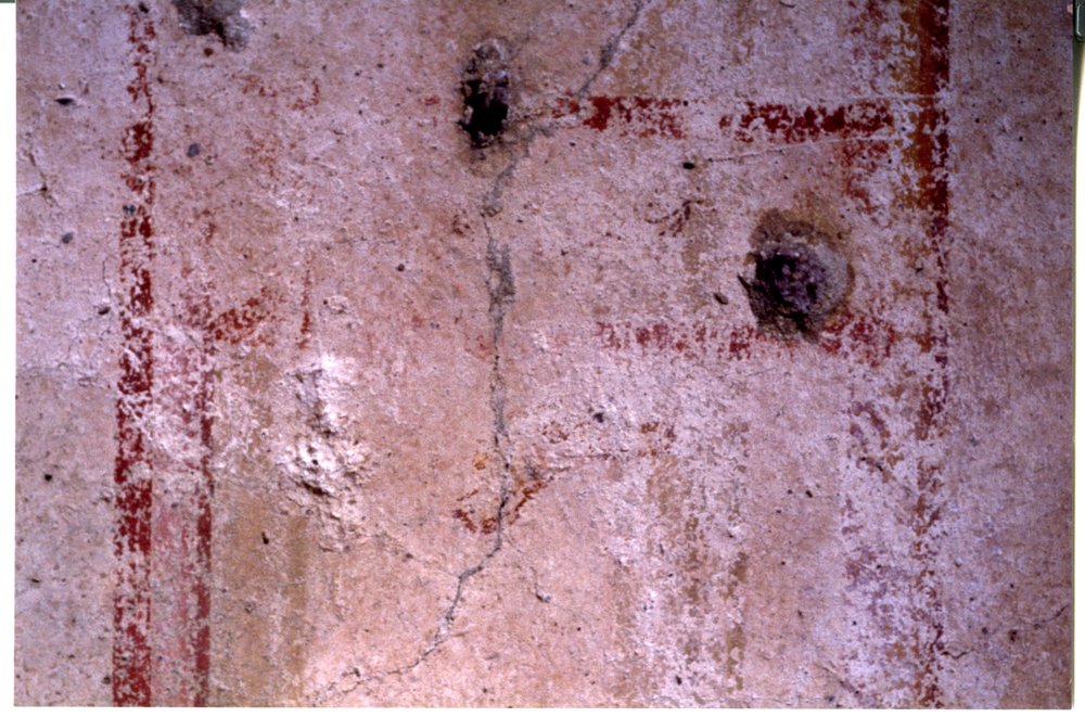 Domus Tiberiana pitture 48.tif