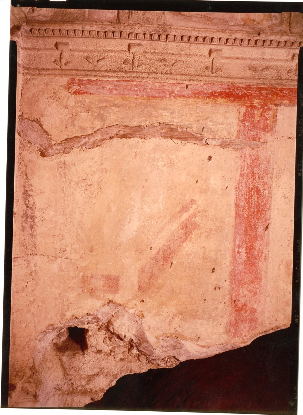 Domus Tiberiana pitture 31.tif