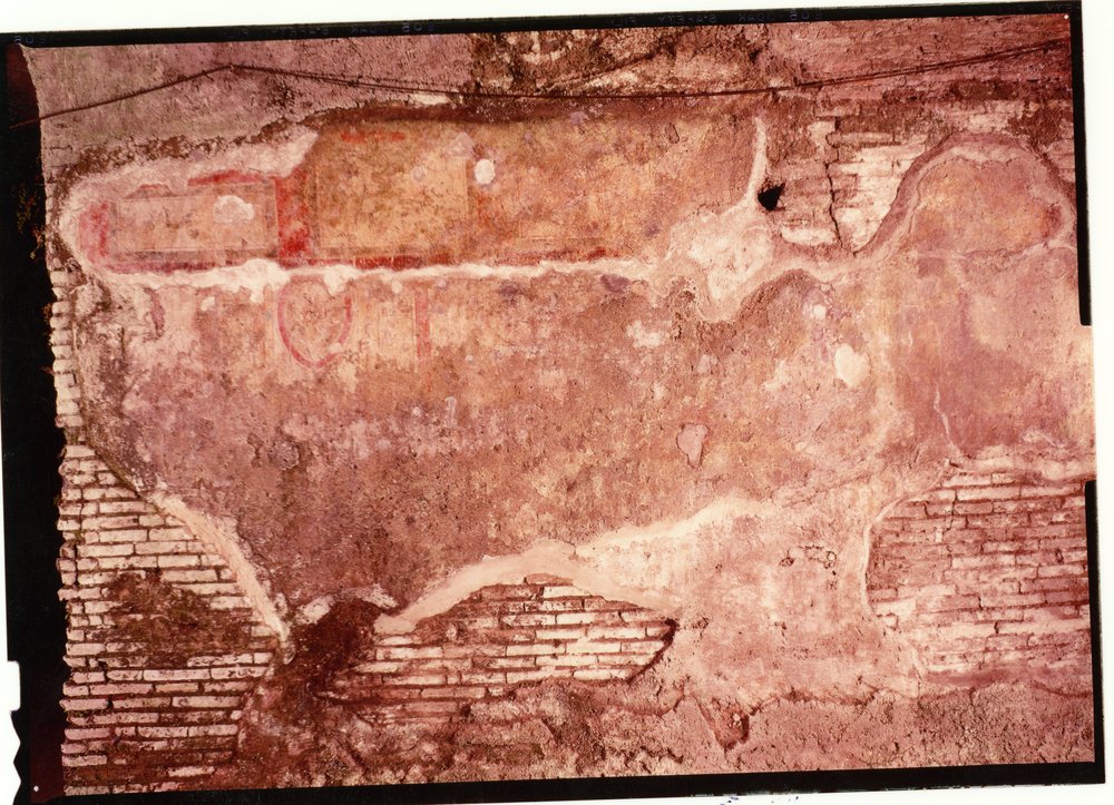 Domus Tiberiana pitture 23.tif
