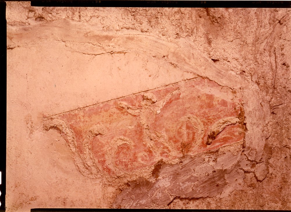 Domus Tiberiana pitture 27.tif