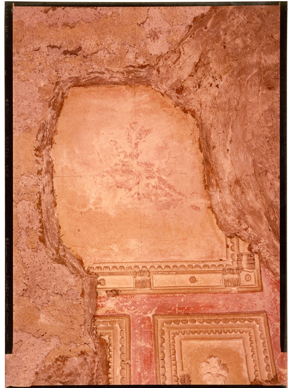 Domus Tiberiana pitture 12.tif