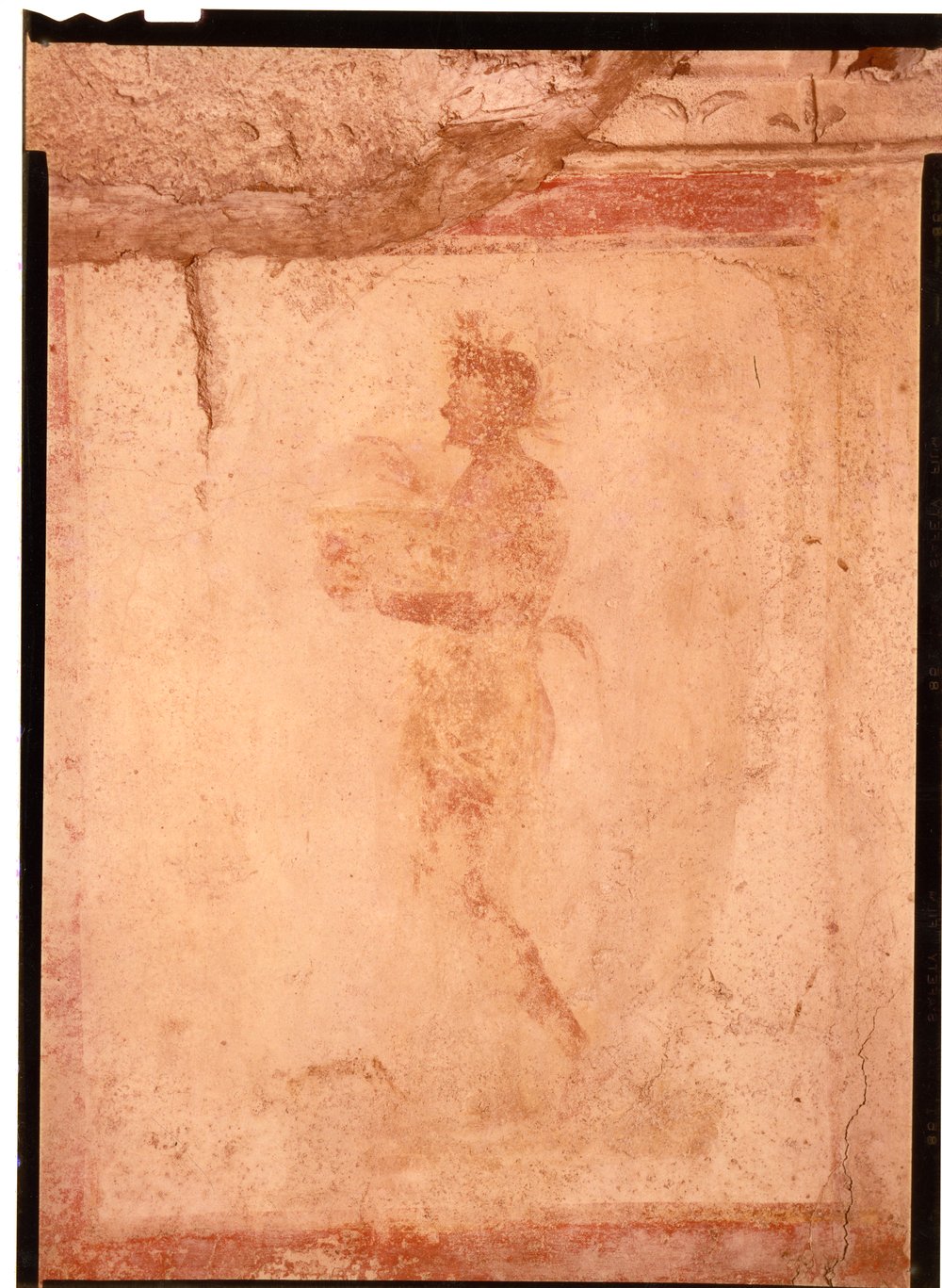 Domus Tiberiana pitture 30.tif