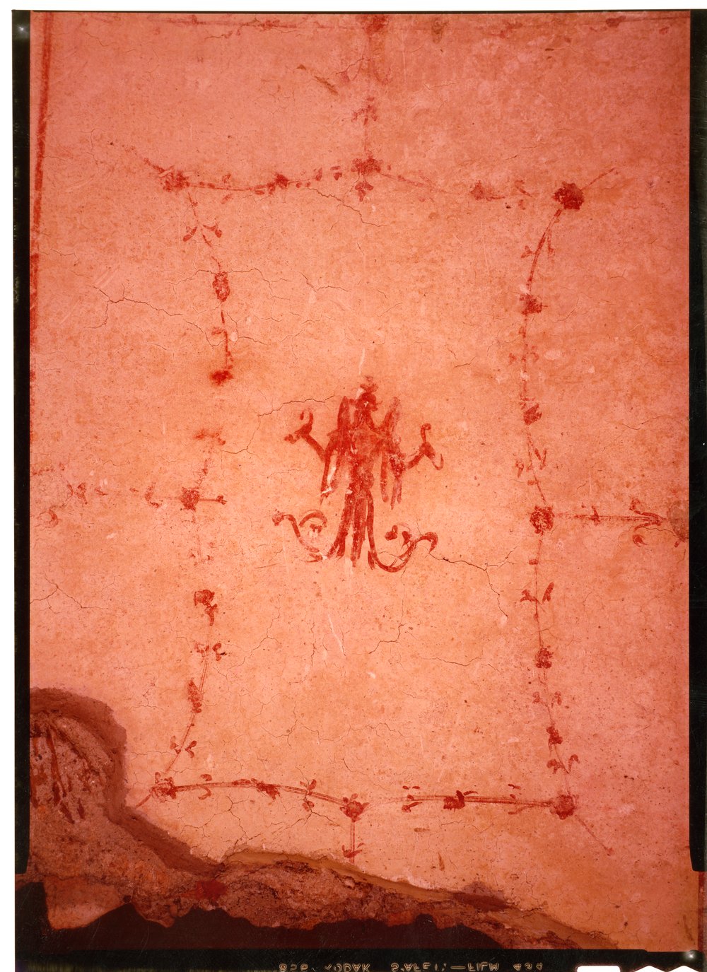 Domus Tiberiana pitture 9.tif