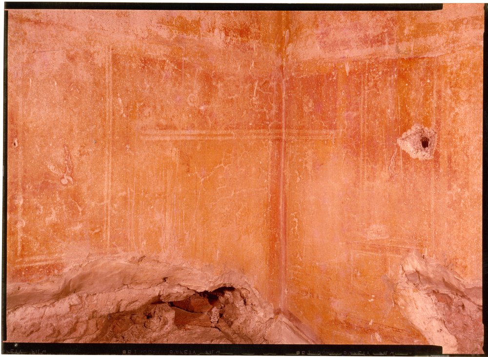 Domus Tiberiana pitture 34.tif
