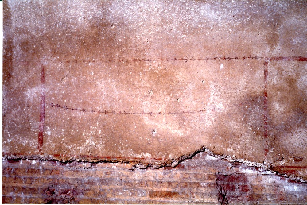 Domus Tiberiana pitture 46.tif
