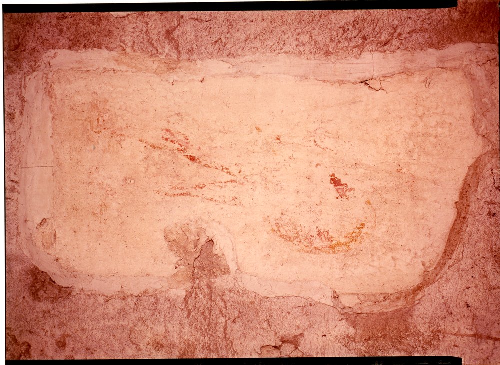 Domus Tiberiana pitture 25.tif