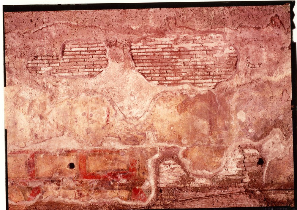 Domus Tiberiana pitture 36.tif