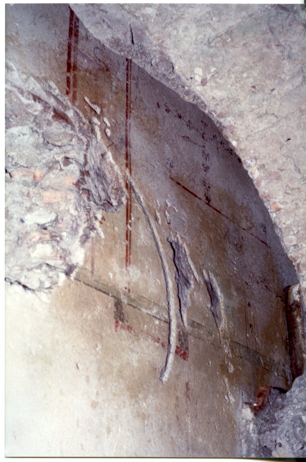Domus Tiberiana pitture 43.tif