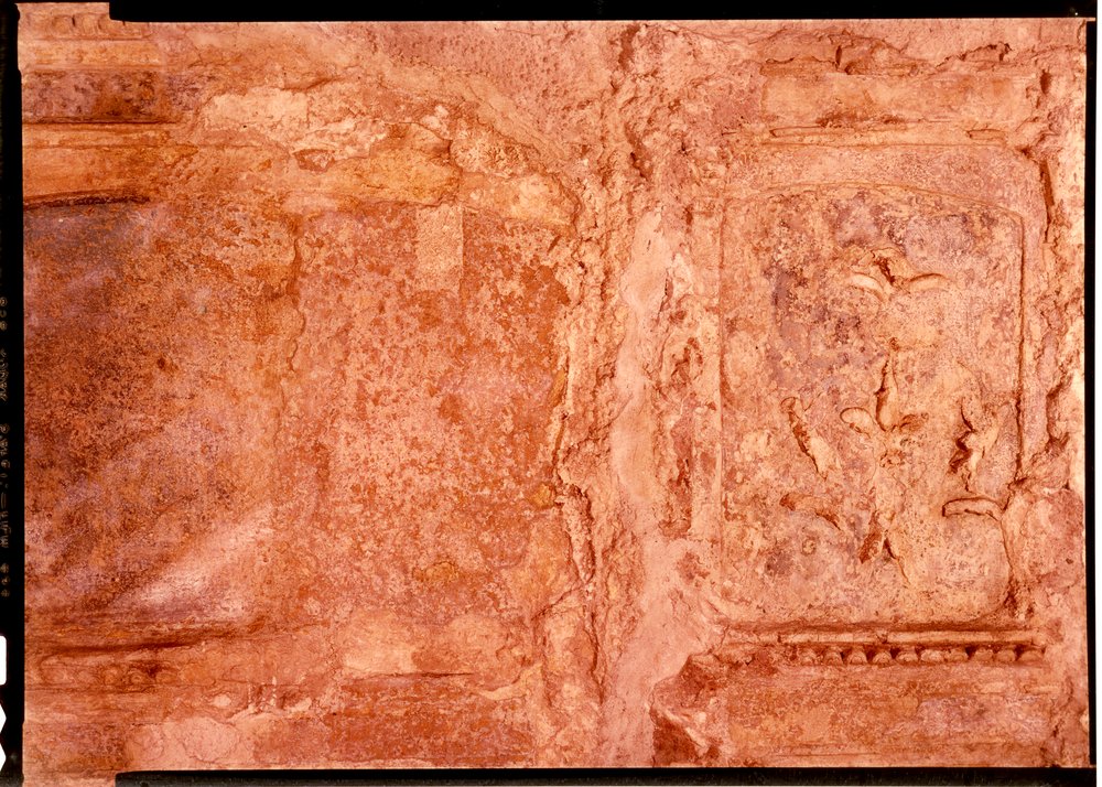 Domus Tiberiana pitture 39.tif