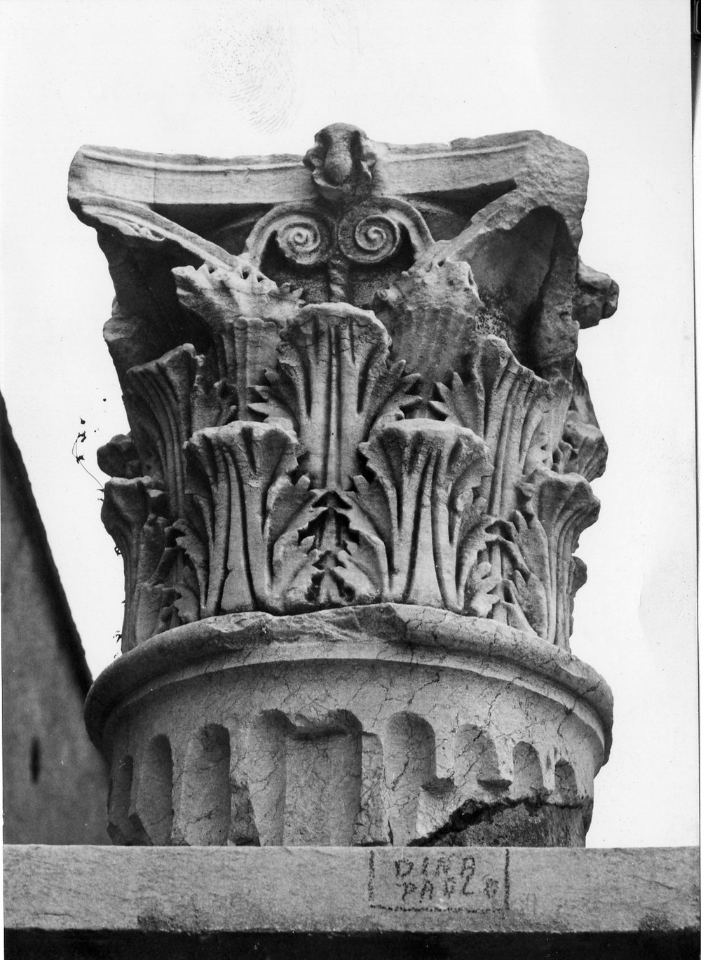 Casa di Livia capitello.tif