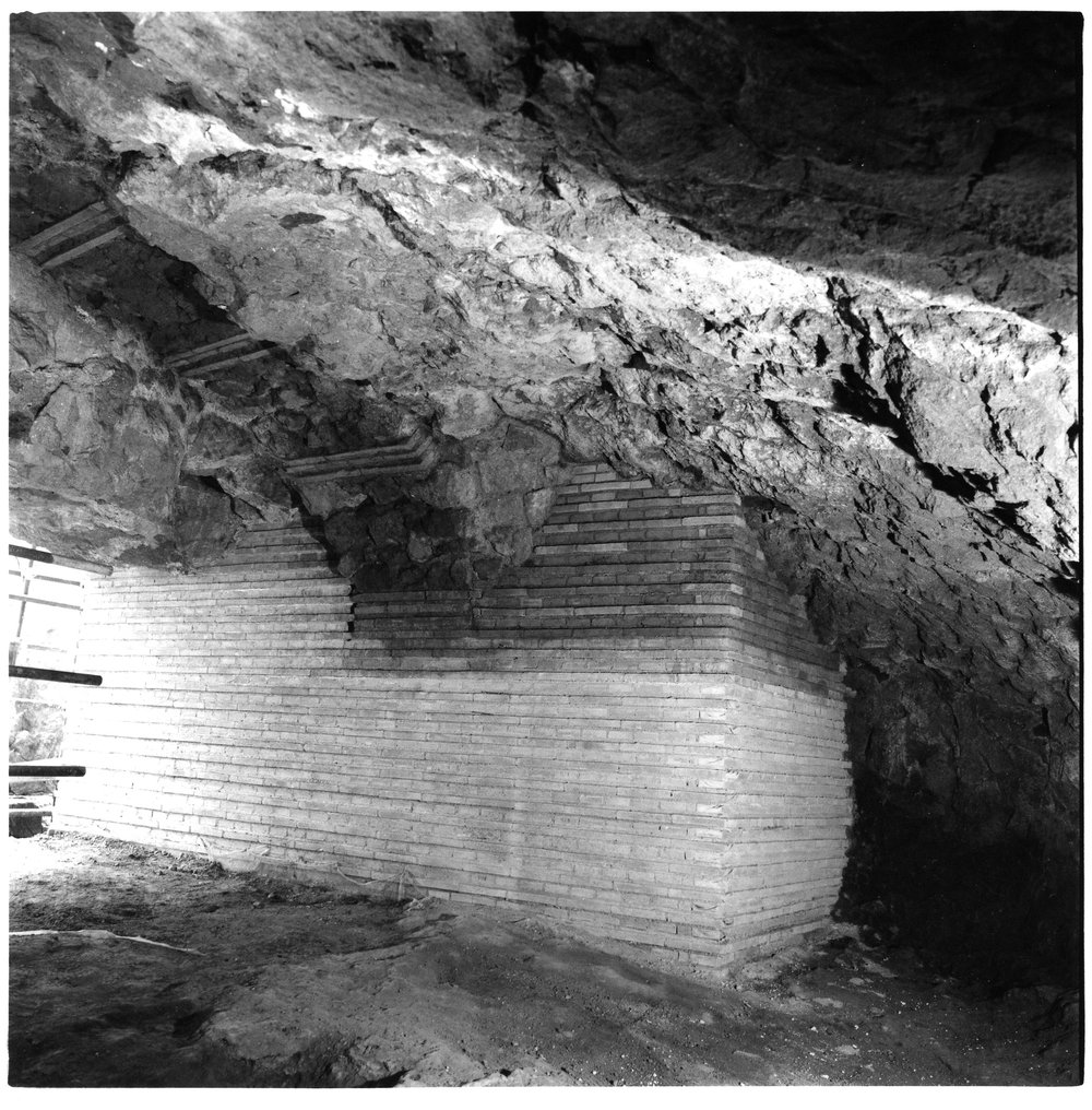 domus tiberiana 4.jpg