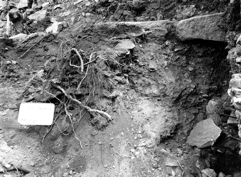 005709 - scavo archeologico - Clivio Palatino, lato sinistro: scavi