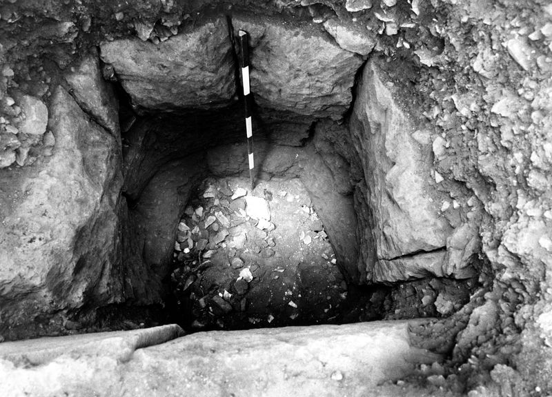 005714 - scavo archeologico - Clivio Palatino, lato sinistro: scavi